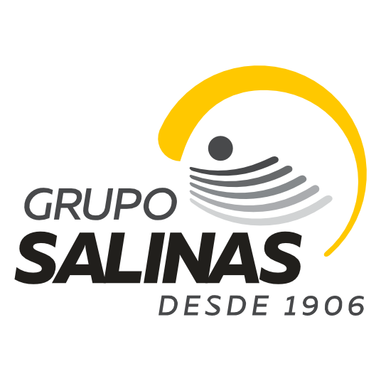 Grupo Salinas